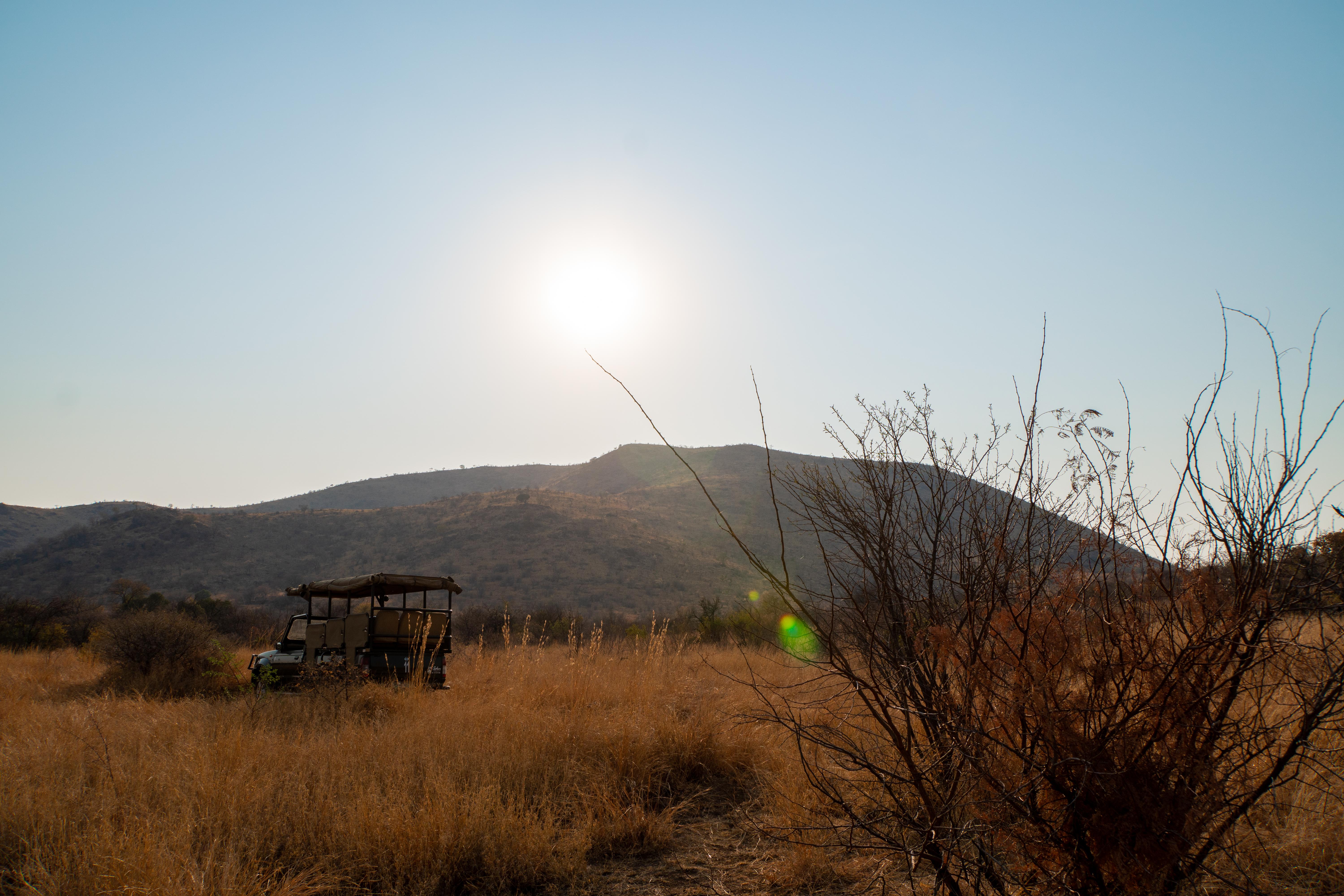Bakubung Bush Lodge Ledig Eksteriør bilde